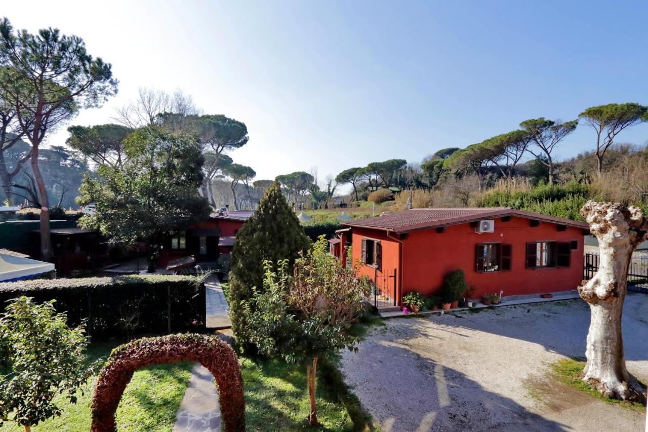 Antico Platano Bed and Breakfast Ρώμη Εξωτερικό φωτογραφία